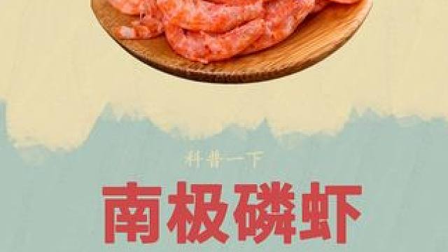 你知道经常吃的南极磷虾是如何捕捞的吗#南极磷虾 #磷虾肉  #捕捞过程 
#科普 #海鲜