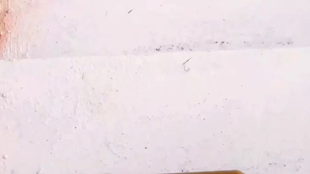 楼梯滚瓶子爆破解压时刻