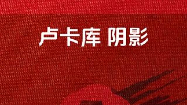 卢卡库，卢员外！是不是裁判两手一画方框，你觉得怎么样#足球 #dou来足球季 #欧洲杯 #卢卡库