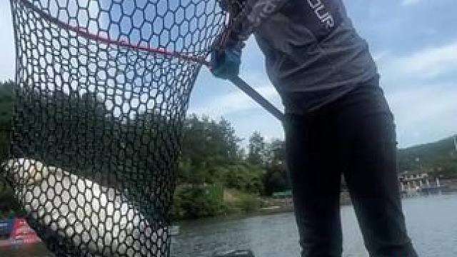 佳佳同款鹞套装直播间正在讲解中！#佳钓尼岚酷路亚 #路亚 #直播间 #佳