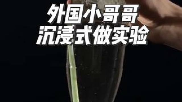 外国小哥哥展示不同方法倒空一瓶水，看看哪种方法是最快的#沉浸式 #解压 #外国人真会玩 #趣味实验