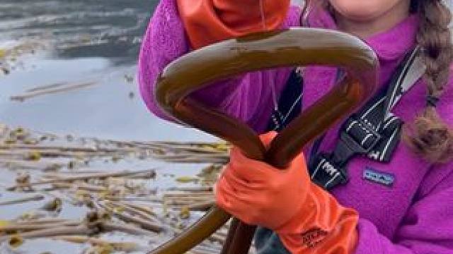 熟练的工人 #打工人 #劳动人民的智慧 #解压 #解压视频 #治愈系