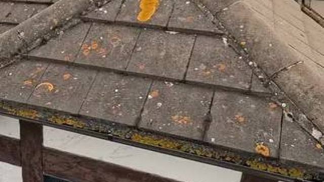 我发布了一个新视频，快来围观吧！