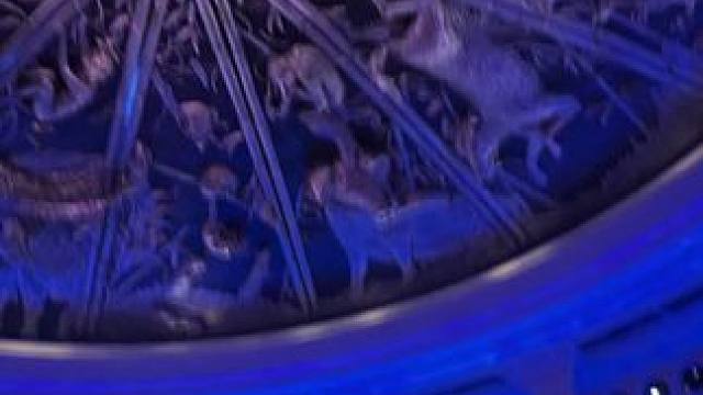 我发布了一个新视频，快来围观吧！