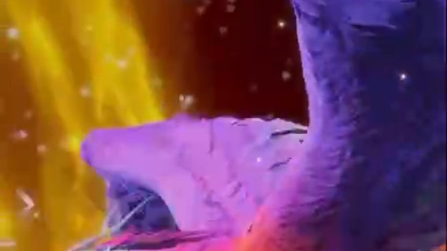 记录我们的第二只鲲鹏，一早的惊喜