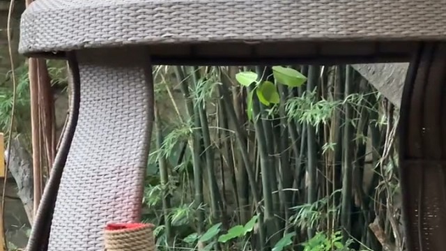 国庆妹妹挠痒好可爱