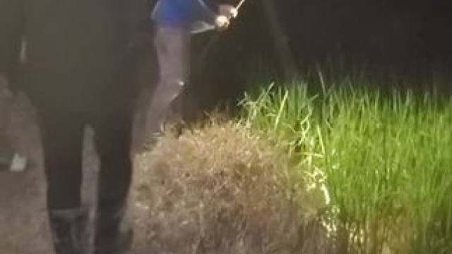 野仔生存 #我的乡村生活 #农村美食 #逮鱼摸虾 #户外捕鱼 #真实户外