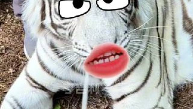 真是纱窗布擦屁股 露一手 