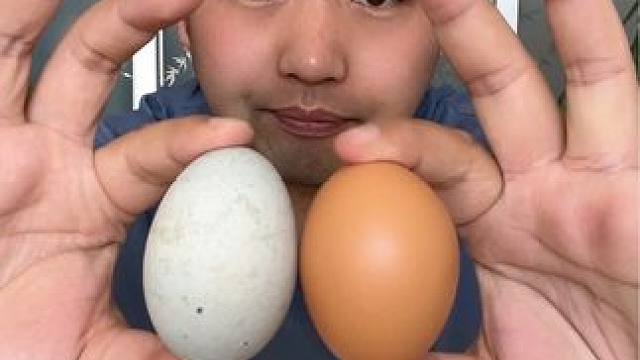 #揭秘 #测评 #松花蛋 #超便宜超划算 #松花皮蛋