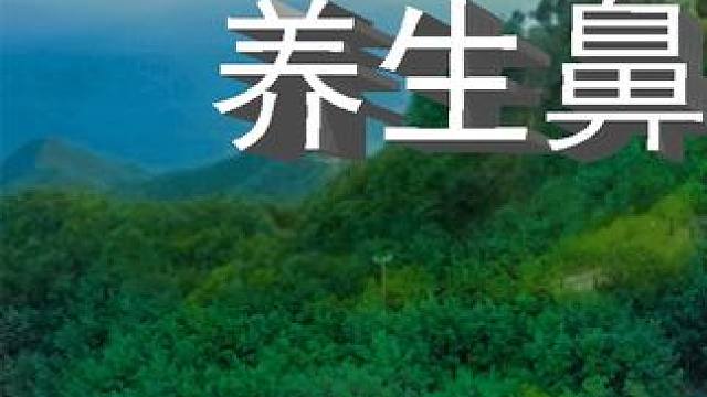 九峰山景区 #养在九峰山 #老家河南 养生鼻祖地 伏牛九峰山