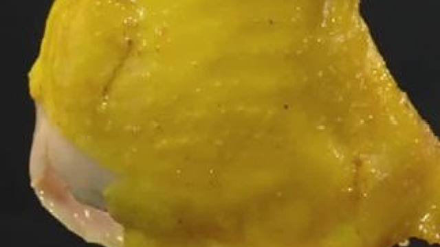 #日常生活小妙招 #好物推荐 #鸡肉 #盐焗鸡