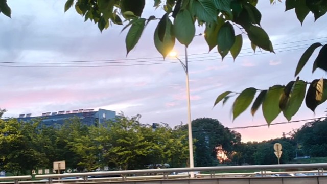 回归直播计划公告