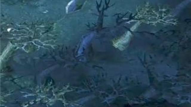 （三）大熊原声大碟，中单先知，遇会玩的队友白牛