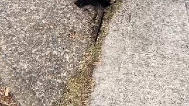 我发布了一个新视频，快来围观吧！