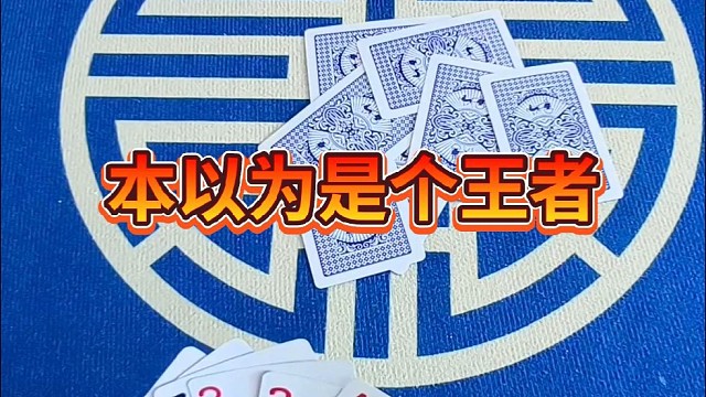 本以为是个王者。