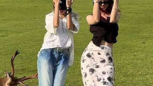 它在对我撒娇惹#马哈马哈舞蹈挑战