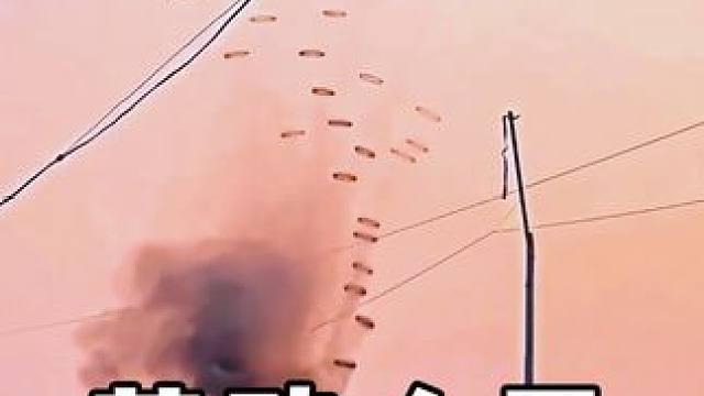 #劳动人民的智慧 #神操作 #三农 #农业种植 #实用小技巧