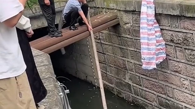 猫猫遇到善良的人 真幸运！