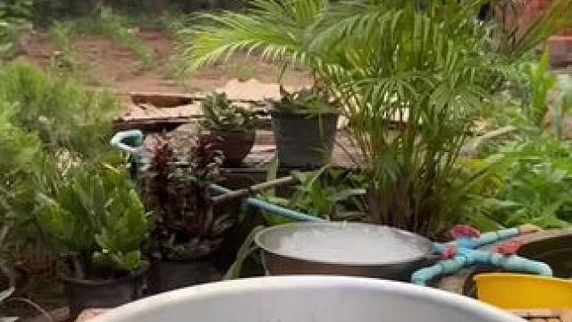 东南亚乡村美食 #农村生活 #农村美食 #乡村味道 #原始美味 #户外露营