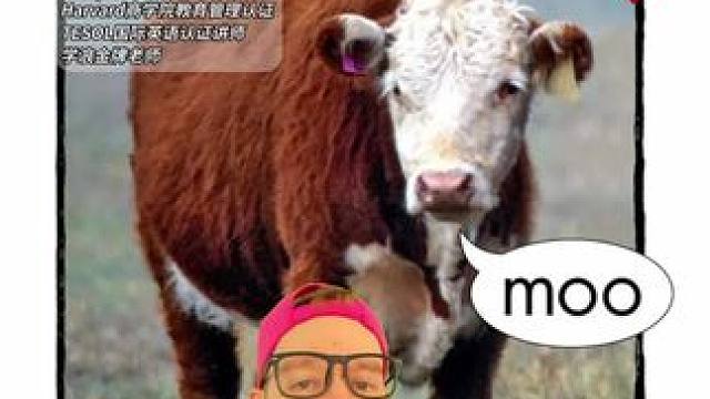 想听更多美国AJ老师读经典绘本吗？快进直播间！