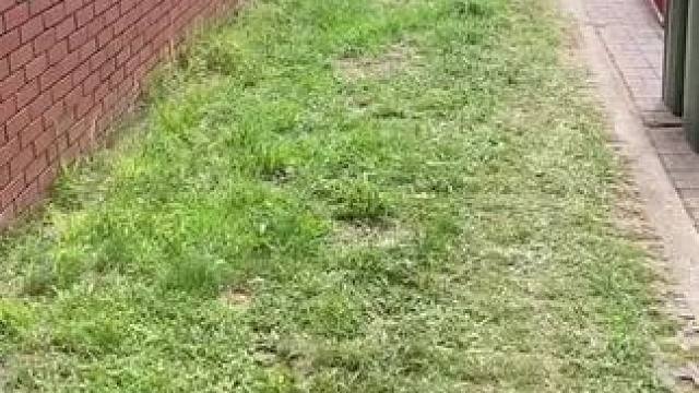 我发布了一个新视频，快来围观吧！