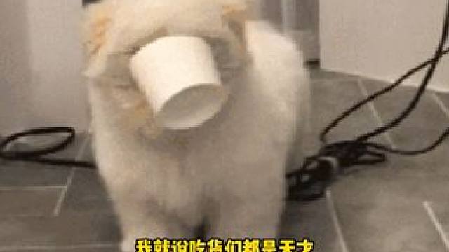 吃货们都是天才，为了夏天这一口也太给力了 #酸梅汤   #好喝不贵 #夏日清凉饮品