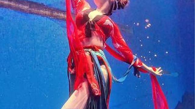 下水包爆改的水上丑管我水下什么事（当然我们模特美女水上也很美
#自由潜水 #潜水女孩 #水下摄影 #