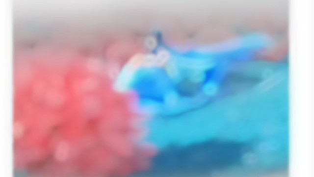 咱们家有新守护啦