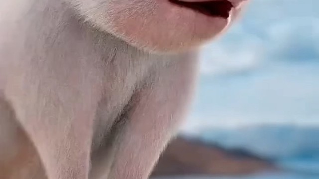 点个关注不迷路