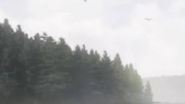 攒了一千多个紫色箱子！看看能开多少奖卷 #欢乐钓鱼大师 #人人都是钓鱼大师