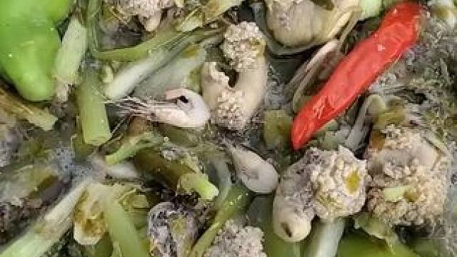 东南亚热带美食 #农村生活 #农村美食 #我的乡村生活 #我在乡村做美食