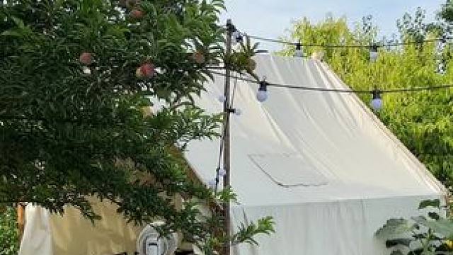 喵喵花园真的是世外桃源，露营野炊都不错#露天烧烤 #烧烤 #吃烧烤喝啤酒