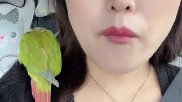 鸟想。咦这是什么玩意。#养宠人的治愈谁懂啊 #小动物们能有多治愈 #怎么训练鹦鹉 #手养鹦鹉