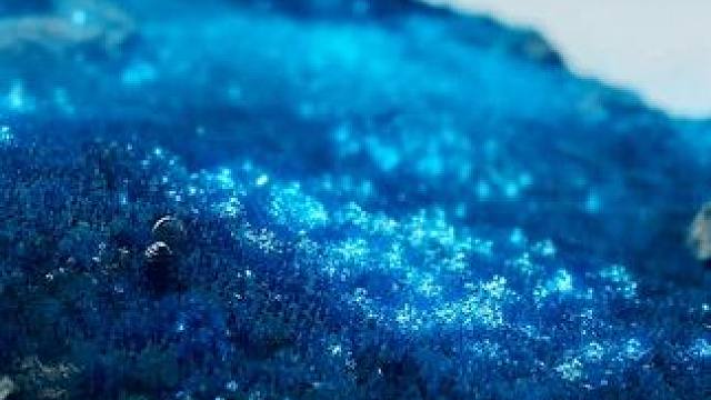 “通过移轴镜头所呈现的法环DLC之美”#艾尔登法环 #还得是主机大作  #游戏内容风向标  #艾尔登