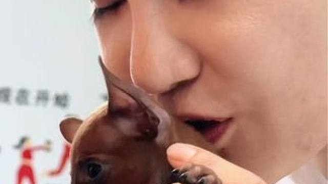 最近没流量了点点红心吧