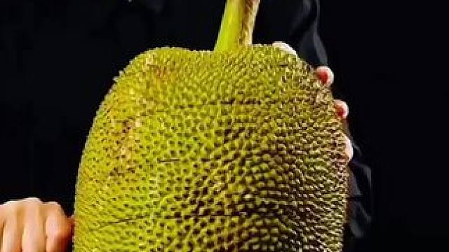 #生活小妙招 #实用小技巧 #生活小技巧 #生活小窍门 #水果正确切法