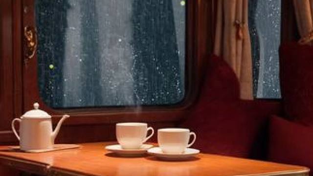 雨夜森林中的马车之旅，舒适车厢，一杯热茶，营造放松助眠氛围 #白噪音 #助眠声音 #睡眠音乐 #催眠