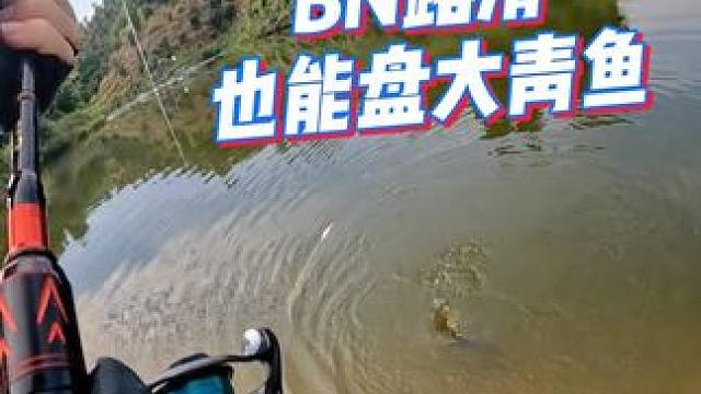 盘大青同款路滑直播间正在讲解中 #路亚 #钓鱼 #渔具用品 #佳钓尼岚酷