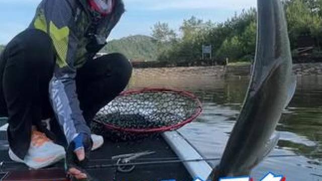 佳钓尼岚酷路亚~