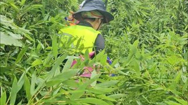 雨天爬山别有一番风味，爽歪歪
#户外 #保持热爱奔赴山海 #每一帧都是热爱 #专业动作请勿模仿 #随