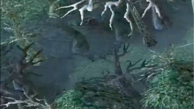 （一）大熊原声大碟，赏金猎人4v6，队友影魔像卧底