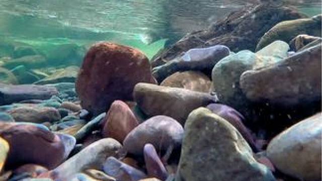 外出拍摄车坏了，水一个视频吧！ ##大山深处自然美 #清澈见底的水 #保持热爱奔赴