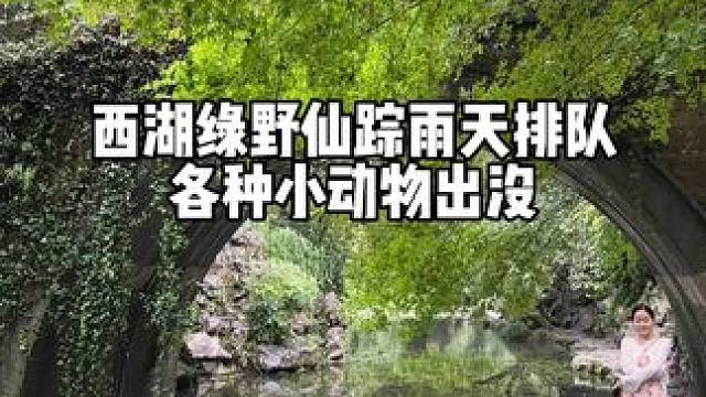 雨天逛杭州，柳浪闻莺不错 雨天逛杭州，柳浪闻莺不错，只是这个雨确实下的太久了，有点想天晴了。#雨西湖