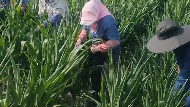 每天都在抽天花的路上！