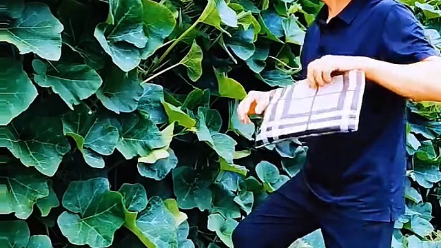 放裤当了笑死我了