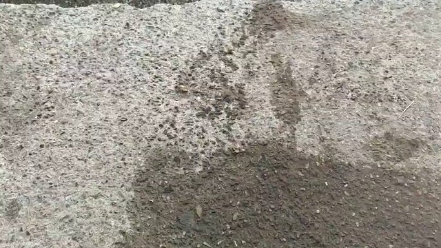 楼梯滚瓶子爆破解压时刻