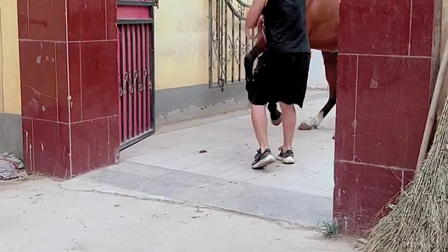 这不就是传说中的赤兔吗？