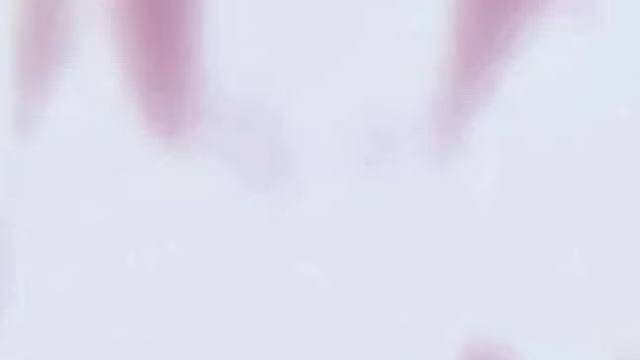 《影子勿宠》左下角盐言故事看后续！#漫画解说 #二次元 #盐言故事