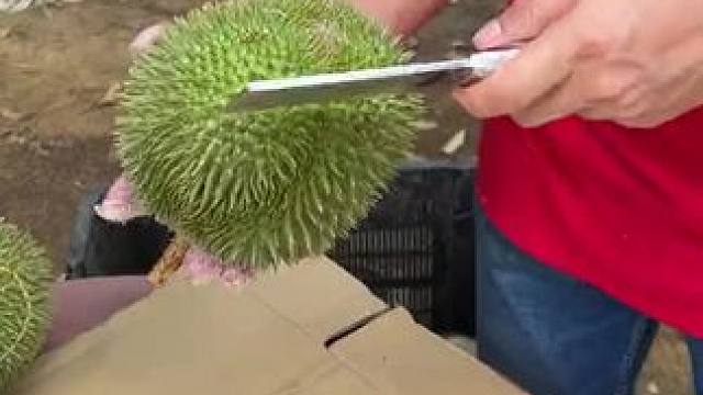 我发布了一个新视频，快来围观吧！