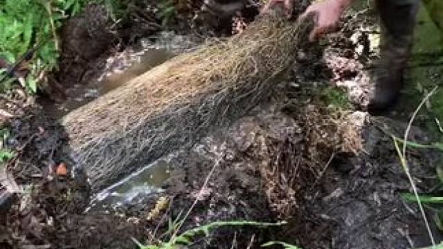 我发布了一个新视频，快来围观吧！